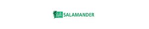 Логотип-Salamander